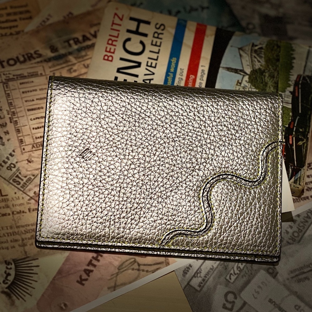 Ashya Silver Passport Book